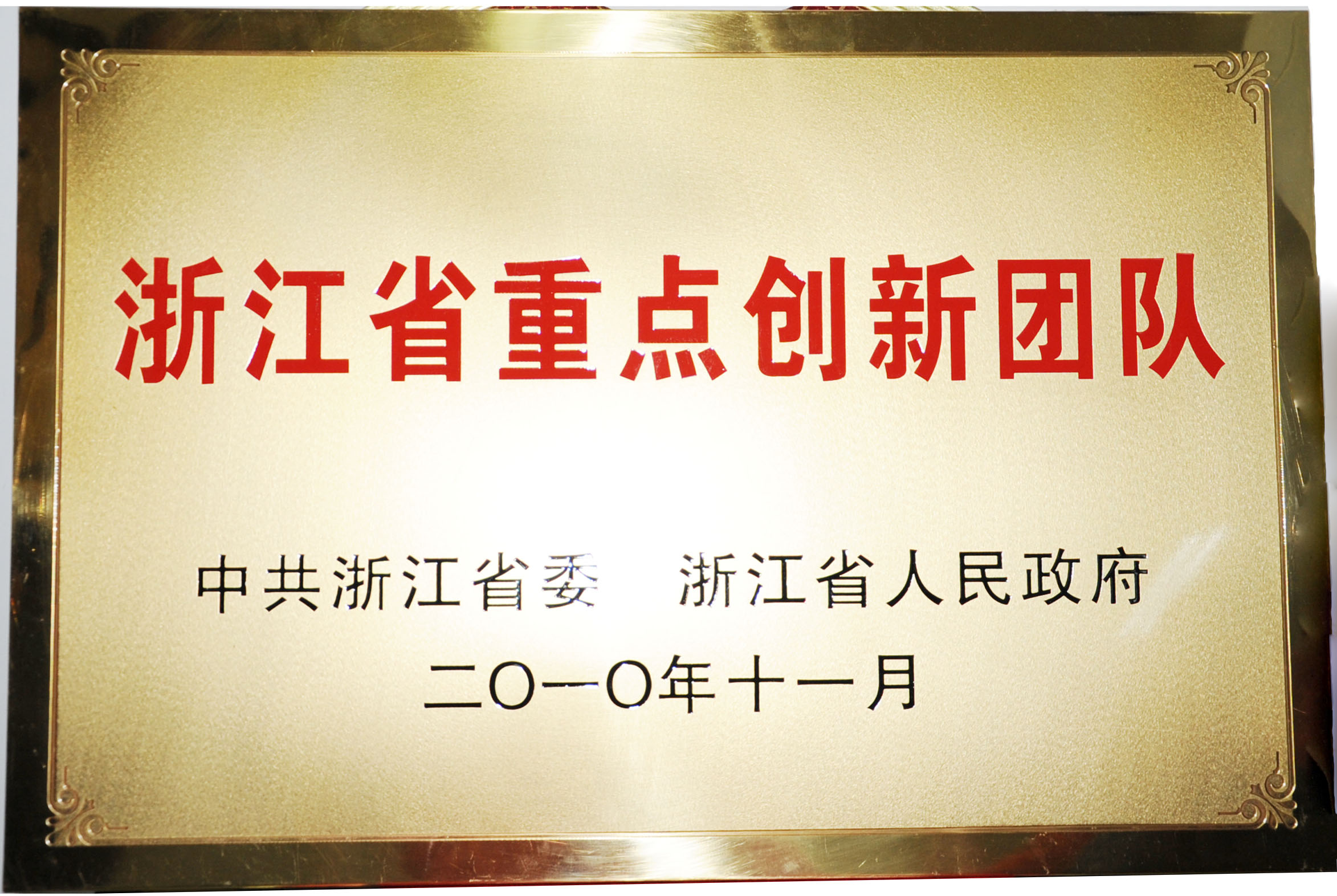 浙江省重点创新团队