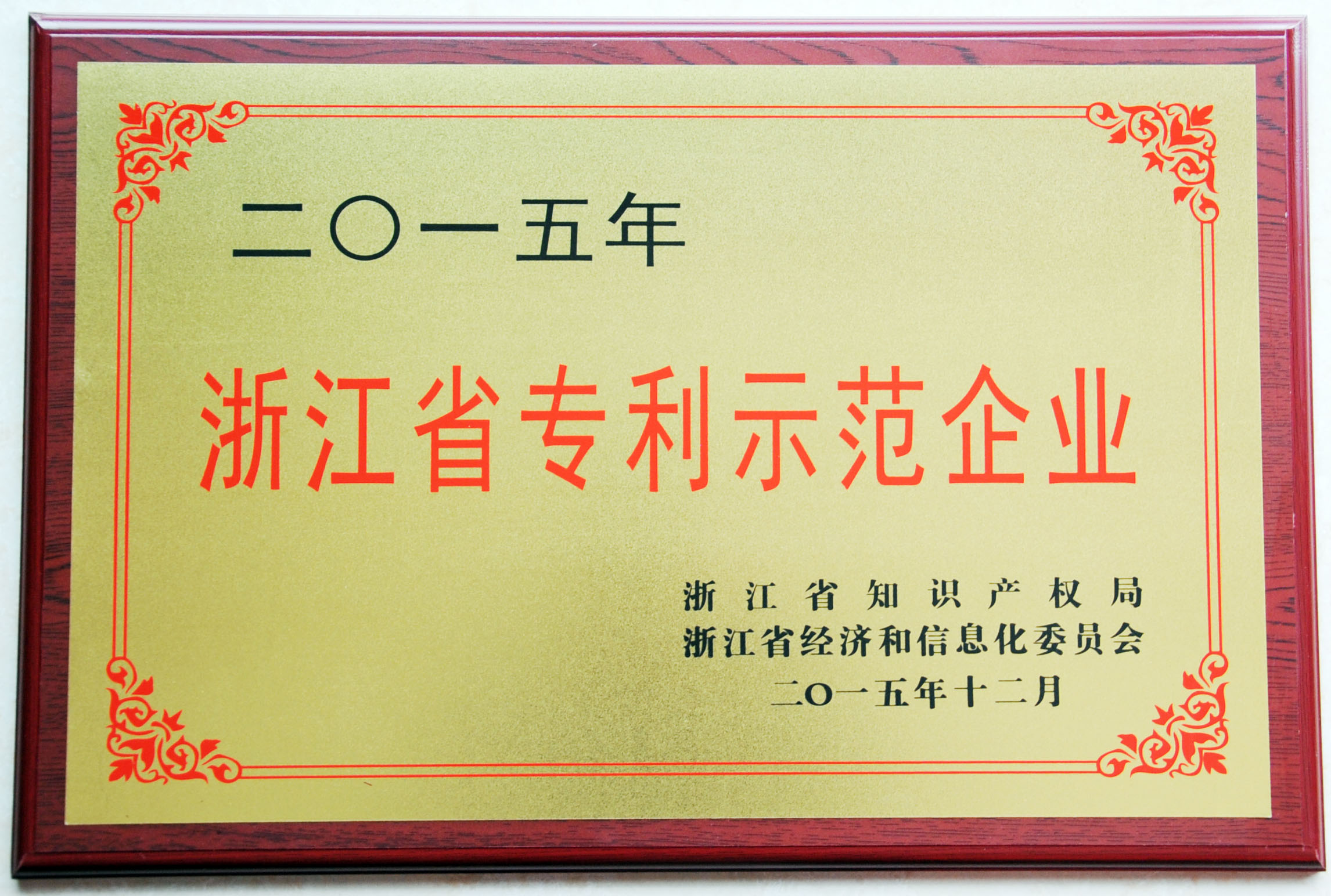 浙江省专利示范企业