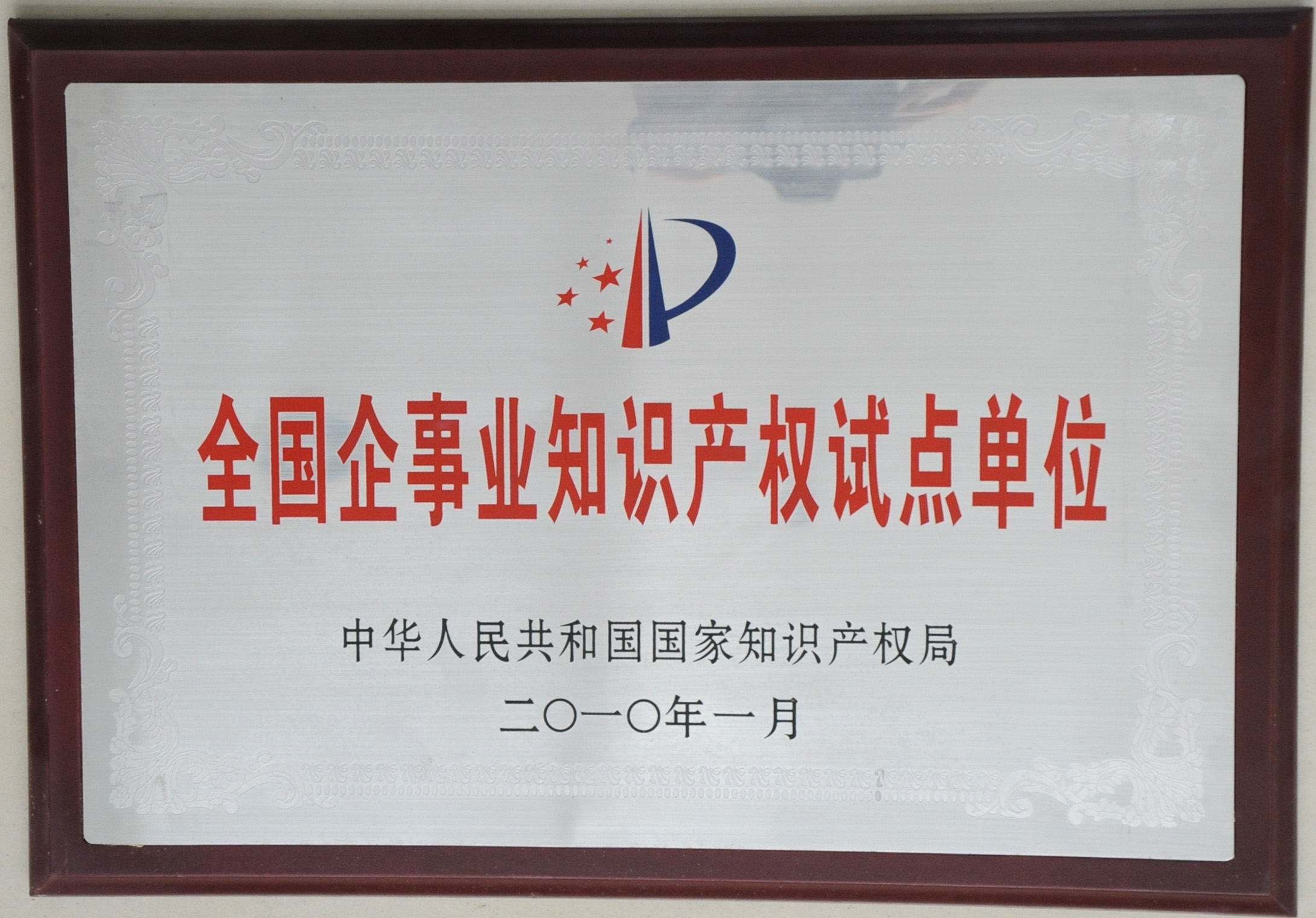 全国知识产权试点单位
